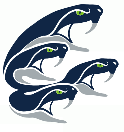 Seattle Seahawks Halloween Logo fabric transfer